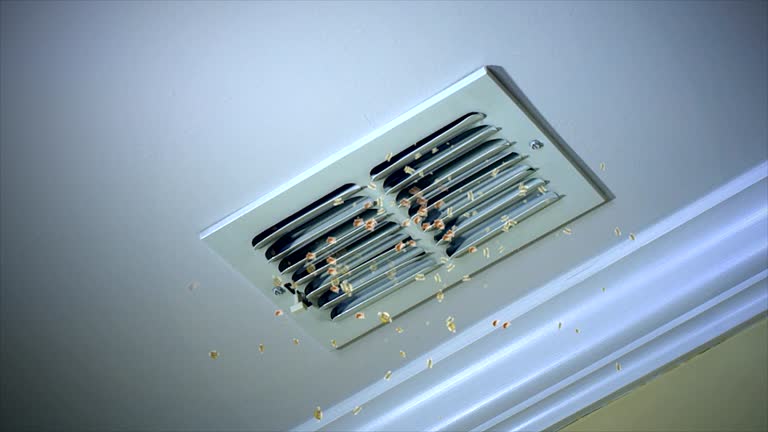 Best HVAC Air Duct Cleaning  in Patton Village, TX